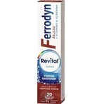 REVITAL FERRODYN 1×20 tbl, Eisen + Antioxidantien REVITAL FERRODYN 1×20 tbl, Eisen + Antioxidantien