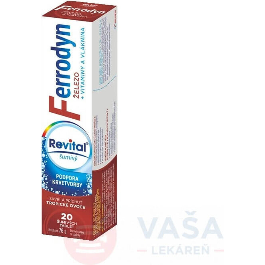 REVITAL FERRODYN 1×20 tbl, fer + antioxydants