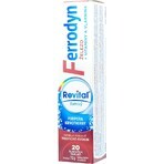 REVITAL FERRODYN 1×20 tbl, Eisen + Antioxidantien REVITAL FERRODYN 1×20 tbl, Eisen + Antioxidantien