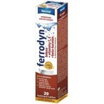 REVITAL FERRODYN 1×20 tbl, Eisen + Antioxidantien REVITAL FERRODYN 1×20 tbl, Eisen + Antioxidantien