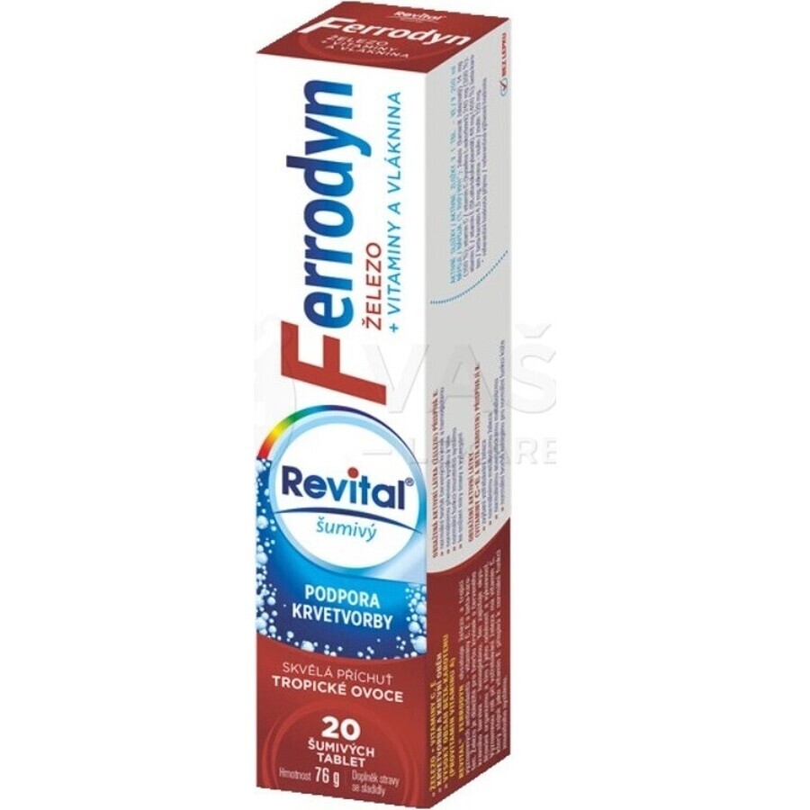 REVITAL FERRODYN 1×20 tbl, fer + antioxydants