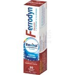 REVITAL FERRODYN 1×20 tbl, Eisen + Antioxidantien REVITAL FERRODYN 1×20 tbl, Eisen + Antioxidantien