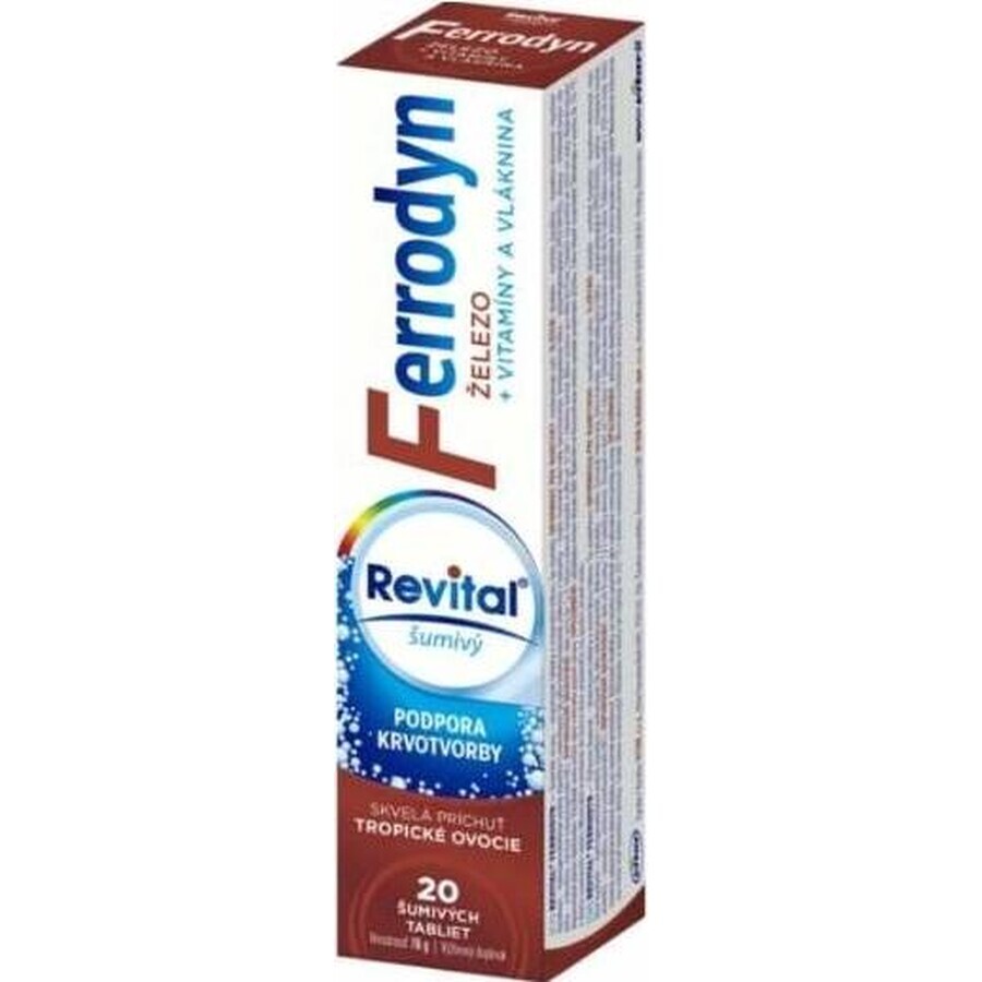 REVITAL FERRODYN 1×20 tbl, fer + antioxydants