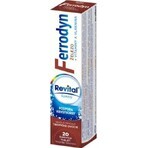 REVITAL FERRODYN 1×20 tbl, Eisen + Antioxidantien REVITAL FERRODYN 1×20 tbl, Eisen + Antioxidantien