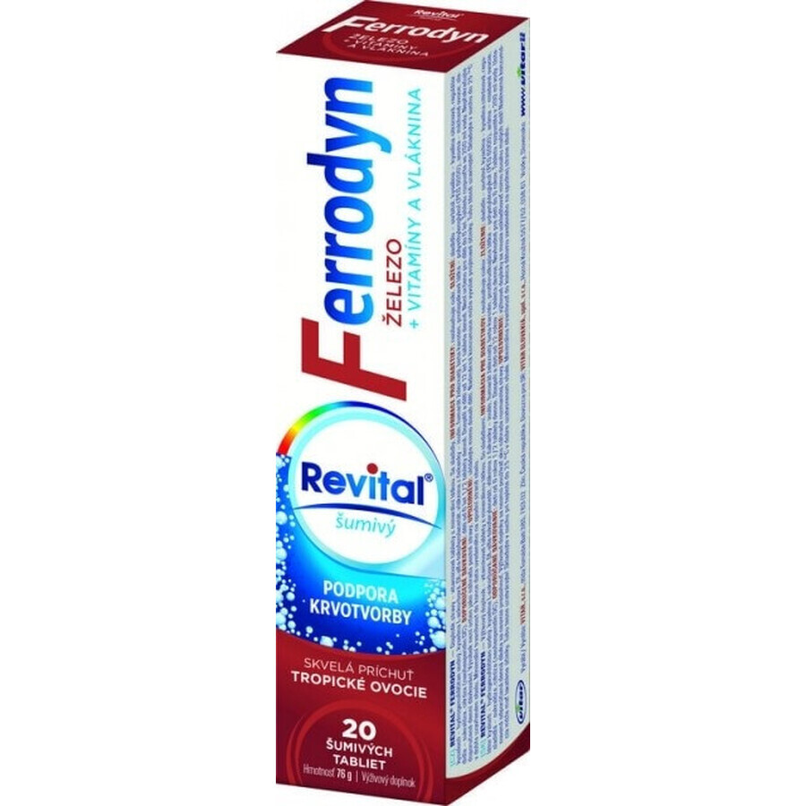 REVITAL FERRODYN 1×20 tbl, fer + antioxydants