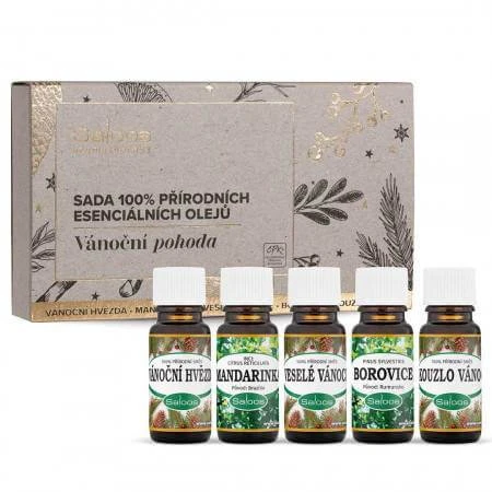 Saloos Coffret bien-être de Noël d'huiles essentielles 100% naturelles 5x10 ml, coffret d'huiles essentielles