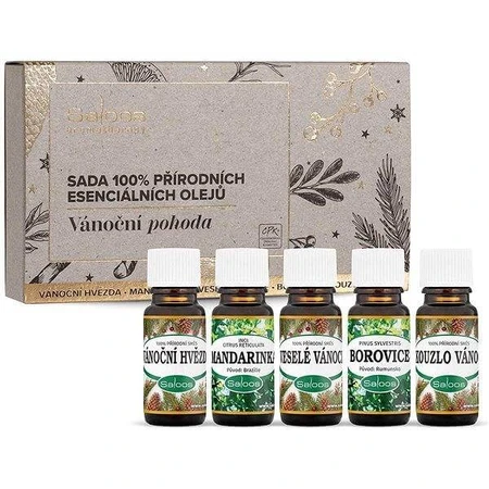 Saloos Coffret bien-être de Noël d'huiles essentielles 100% naturelles 5x10 ml, coffret d'huiles essentielles