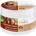 ALPA Crema da massaggio alle erbe con castagna 1×250 ml, crema da massaggio ALPA Crema da massaggio alle erbe con castagna 1×250 ml, crema da massaggio