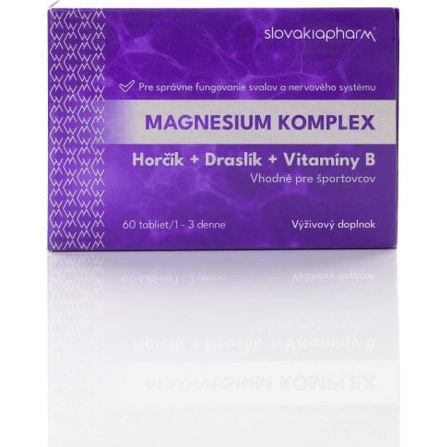 Slovakiapharm Magnesium Complex tbl 1x60 st