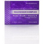 Slovakiapharm Magnesium Complex tbl 1x60 pcs Slovakiapharm Magnesium Complex tbl 1x60 pcs