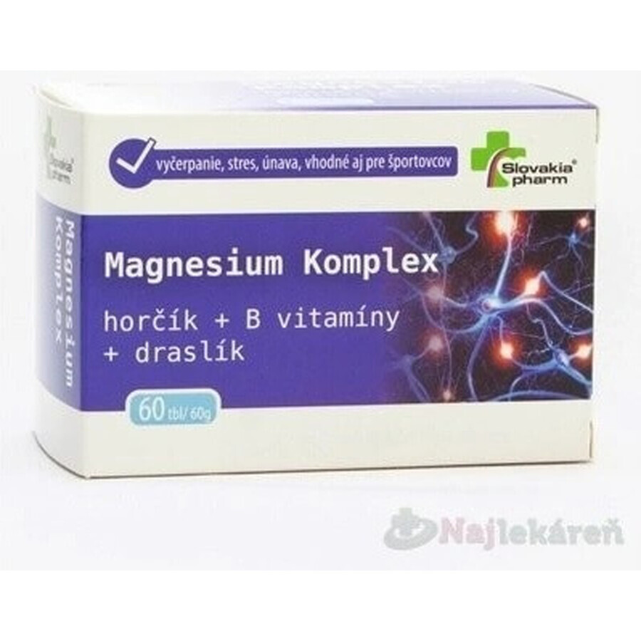 Slovakiapharm Magnesium Complex tbl 1x60 st