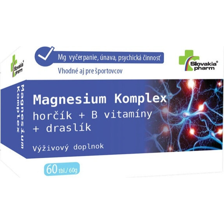 Slovakiapharm Magnesium Complex tbl 1x60 st