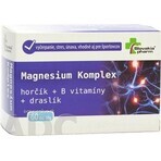 Slovakiapharm Magnesium Complex tbl 1x60 pcs Slovakiapharm Magnesium Complex tbl 1x60 pcs