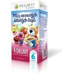MEGAFYT MIX di tè alla frutta per bambini 4 TIPI 20×2 g, dalla fine del 6° mese MEGAFYT MIX di tè alla frutta per bambini 4 TIPI 20×2 g, dalla fine del 6° mese