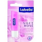 Labello SOFT ROSÉ 1×4,8 g, balsamo per labbra Labello SOFT ROSÉ 1×4,8 g, balsamo per labbra