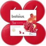 Bolsius Aromatic 2.0 Tea Maxi 8st Granaatappel, geurkaarsen 1×8 stuks, geurkaars Bolsius Aromatic 2.0 Tea Maxi 8st Granaatappel, geurkaarsen 1×8 stuks, geurkaars