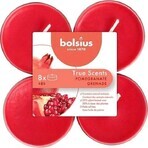 Bolsius Aromatic 2.0 Tea Maxi 8st Granaatappel, geurkaarsen 1×8 stuks, geurkaars Bolsius Aromatic 2.0 Tea Maxi 8st Granaatappel, geurkaarsen 1×8 stuks, geurkaars