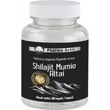 Pharma Activ Shilajit Mumio Altai 1×60 cps, complemento alimenticio