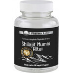 Pharma Activ Shilajit Mumio Altai 1×60 cps, integratore alimentare Pharma Activ Shilajit Mumio Altai 1×60 cps, integratore alimentare