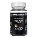 Pharma Activ Shilajit Mumio Altai 1×60 cps, food supplement