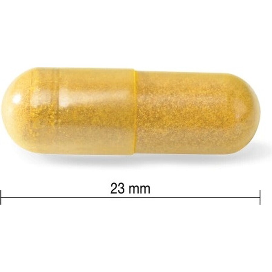 JAMIESON CURCUMIN WITH BLACK ROOT 1x60 cps, food supplement