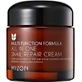 Mizon Black Snail All In One Cream 75 ml 1×75 ml