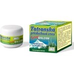 FYTO Tatra mezcla de hierbas bronquiales BALM 1×40 g para los resfriados FYTO Tatra mezcla de hierbas bronquiales BALM 1×40 g para los resfriados