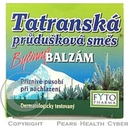 FYTO Tatra kruiden bronchiaal mengsel BALM 1×40 g voor verkoudheid
