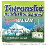 FYTO Tatra mezcla de hierbas bronquiales BALM 1×40 g para los resfriados FYTO Tatra mezcla de hierbas bronquiales BALM 1×40 g para los resfriados