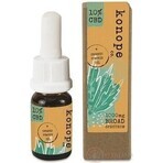 Hemp co. 10% CBD in organic pumpkin seed oil - broad spectrum 1000g 1×10 g Hemp co. 10% CBD in organic pumpkin seed oil - broad spectrum 1000g 1×10 g