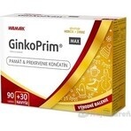 W-Linie GinkoPrim MAX 90 + 30tbl. extra VB24 1x1 Set, Nährstoffpaket für Gedächtnis und Durchblutung der Gliedmaßen W-Linie GinkoPrim MAX 90 + 30tbl. extra VB24 1x1 Set, Nährstoffpaket für Gedächtnis und Durchblutung der Gliedmaßen