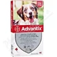 Advantix Spot-on voor honden van 10 tot 25 kg 1×2,5 ml, pipet