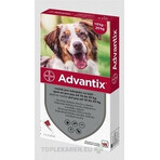 Advantix Spot-on pentru câini de la 10 la 25 kg 1×2,5 ml, pipetă Advantix Spot-on pentru câini de la 10 la 25 kg 1×2,5 ml, pipetă