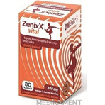 ZenixX VITAL 1×30 cps, Nahrungsergänzungsmittel ZenixX VITAL 1×30 cps, Nahrungsergänzungsmittel