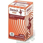 ZenixX VITAL 1×30 cps, Nahrungsergänzungsmittel ZenixX VITAL 1×30 cps, Nahrungsergänzungsmittel