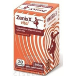 ZenixX VITAL 1×30 cps, Nahrungsergänzungsmittel ZenixX VITAL 1×30 cps, Nahrungsergänzungsmittel
