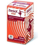 ZenixX VITAL 1×30 cps, Nahrungsergänzungsmittel ZenixX VITAL 1×30 cps, Nahrungsergänzungsmittel