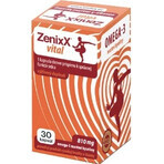 ZenixX VITAL 1×30 cps, Nahrungsergänzungsmittel ZenixX VITAL 1×30 cps, Nahrungsergänzungsmittel