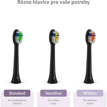TrueLife SonicBrush Compact schwarz 1×1 Stück, Schallzahnbürste