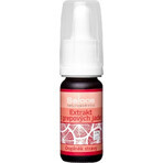 Estratto di semi di pompelmo, 10 ml 1×10 ml 1×10 ml, integratore alimentare Estratto di semi di pompelmo, 10 ml 1×10 ml 1×10 ml, integratore alimentare