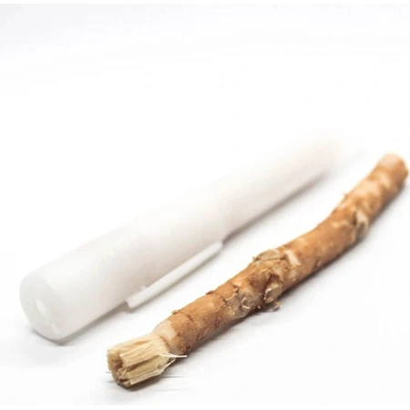 Siwak natürliche Zahnbürste + Box 1×1 Stück, Zahnbürste