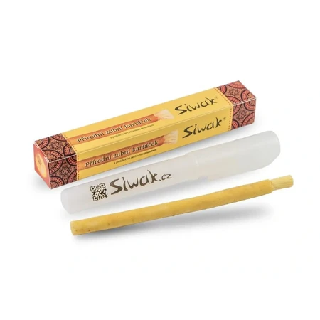 Siwak natürliche Zahnbürste + Box 1×1 Stück, Zahnbürste