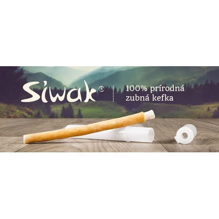 Siwak natürliche Zahnbürste + Box 1×1 Stück, Zahnbürste