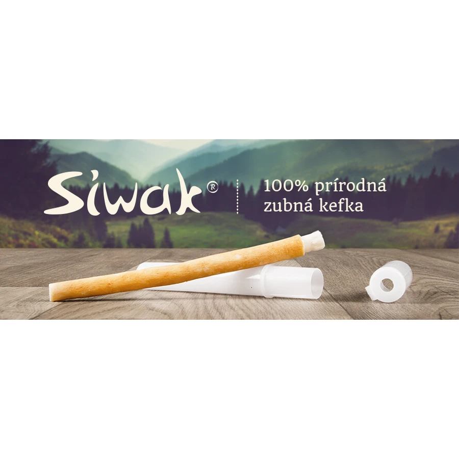 Siwak natürliche Zahnbürste + Box 1×1 Stück, Zahnbürste