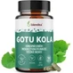 BLENDEA GOTU KOLA 90CPS 1×90 cps, complemento alimenticio