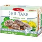TEA THEREZIA SHII-TAKE + RHODIOLA ROSEA 1×60 cps, voedingssupplement