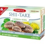 TEA THEREZIA SHII-TAKE + RHODIOLA ROSEA 1×60 cps, voedingssupplement
