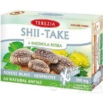 TEA THEREZIA SHII-TAKE + RHODIOLA ROSEA 1×60 cps, voedingssupplement TEA THEREZIA SHII-TAKE + RHODIOLA ROSEA 1×60 cps, voedingssupplement