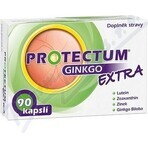 PROTECTUM GINKGO EXTRA 1×90 capsule, ginkgo PROTECTUM GINKGO EXTRA 1×90 capsule, ginkgo