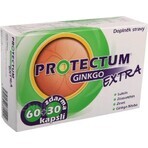 PROTECTUM GINKGO EXTRA 1×90 capsule, ginkgo PROTECTUM GINKGO EXTRA 1×90 capsule, ginkgo